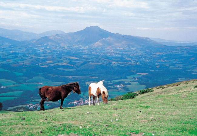 camping itxassou.jpg tourisme dans le pays basque des pyrénées atlantiques nouvelle aquitaine